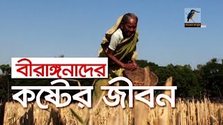 স্বাধীনতার ৪৮ বছর পরও মুক্তিযোদ্ধার স্বীকৃতি পাননি অনেক বীরাঙ্গনা