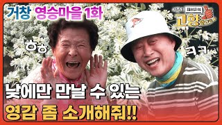 내가 꽃이니까 [거창 영승마을] Ep.1