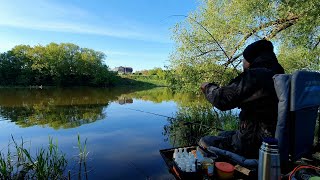 In search of carp | Feeder fishing on the Krasivaya Mecha River