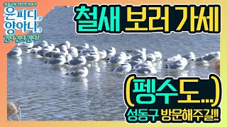 [성동구청] 윤피디 양아나가 간다간다간다! 6회 - 철새 보러 가세