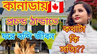 কানাডায় প্রচন্ড ঠান্ডাতে থাকতে হয় ঘরে বন্দি ।। বাইরে রোদে ঝলমল করলেও, প্রচুর ঠান্ডা।