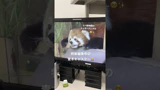 【ウラガワ】特集編集中の青木キャスター😊