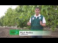 agro tv programa 1