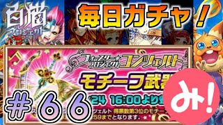 【白猫プロジェクト】第66回 毎日ガチャ！フォースター☆プロジェクトコンツェルトガチャ！