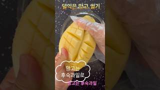 덜익은 망고 썰기 feat.망고 후숙방법