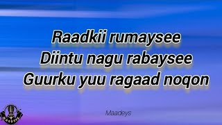 HEES | Arooskiinu Raaxo | Axmed Inshaar Olol | Original + lyrics