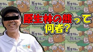 原生林の熊とはどんな生き物？What are primeval forest bears like?