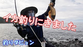 青森県アオリイカシーズン突入