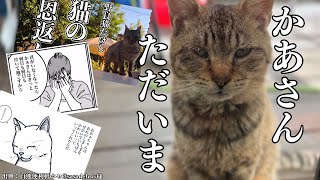 【猫の恩返し続編】猫の生まれ変わりって信じますか？母さんの揺れる想いを綴ります