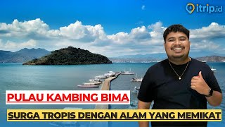 Pulau Kambing Bima, Pulau Eksotis dengan Keindahan Biota Lautnya 🐠🌊