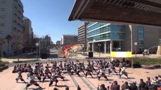 2014 3 15　浜松がんこ祭(浜よさ) 東街区　大阪芸術大学 よさこい×結び