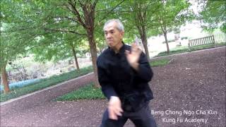 福建南少林五祖拳 四鳳 Fujian Southern Shaolin Ngo Cho Kun Fourth Segments