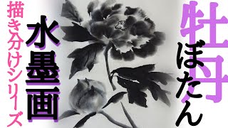 【描き方】描き分けシリーズ第５弾👉水墨画「牡丹」再び掘り下げるの巻peony