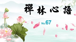 緣印禪林官方🙏🏻海平法師【禪林心語67】🙏🏻