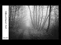 Diffused Signal - Sveh (Original Mix) [BRA005]