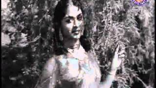 1962-Teri Pyaari Pyaari Surat - Rajendra Kumar   Saroja Devi -Sasural.flv