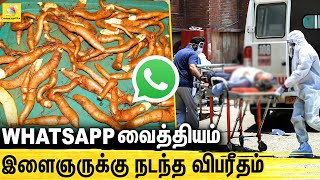 இந்த கிழங்கை மட்டும் சாப்பிடாதீங்க : Young ate Gloriosa superb yam | Ambur