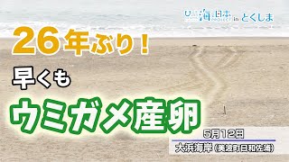 ２６年ぶり！早くもウミガメ産卵 日本財団 海と日本PROJECT in とくしま 2021 #02