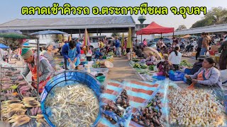 ตลาดเช้าคิวรถ อ.ตระการพืชผล จ.อุบลฯ #ของป่า #แมงจีนูน #ไข่มดแดง #กุ้งฝอย