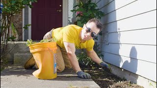 Oddly Satisfying: Millionaire Does Manual Labor!! (Mowing Lawns)