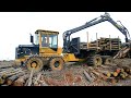 pg bison pine operation tigercat 1075b forwarder and h822c harvester