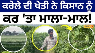 Bitter gourd farming: ਕਰੇਲੇ ਦੀ ਖੇਤੀ ਨੇ ਕਿਸਾਨ ਨੂੰ ਕੀਤਾ ਮਾਲਾ-ਮਾਲ! ਫਸਲ 'ਤੇ ਕਰਦਾ ਦੁੱਧ ਦਾ ਛਿੜਕਾਅ #local18