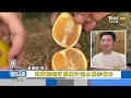 【1223focus世界新聞live】傳川普上台退出who 護抖音續在美 南韓農民拖拉機遊行 盼尹錫悅下台