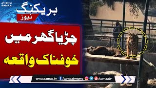 Horrible Incident In Bahawalpur Zoo | Latest Update | SAMAA TV