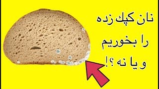 Shakh Show | نان كپك زده بخوريم چه اتفاقى در بدن مى افتد ؟