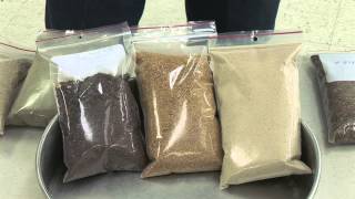 Rick Machen - Cattle Nutrition - Corn Gluten, Distillers Grain, Rice Bran