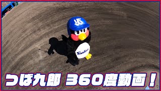 つば九郎の360度動画＠浦添球場　画面を360度動かしながらお楽しみください