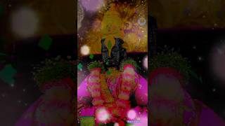 लागली ओढ ही भक्तांच्या मनाला🚩🚩#vitthal #viralvideo #trending#shorts