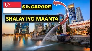 singapore shalay iyo maanta | siday ku gaartay heerkaan ? #OGAANSHO