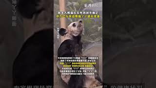 旅美大熊貓樂樂死因初步確定，中方已為接返熊貓丫丫做好準備