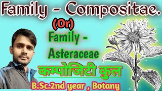 Family - Compositae | Asteraceae| Dicot Family | B.Sc.2nd year -Botany | by - Prahalad Sir