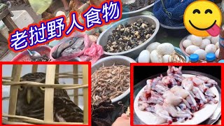 老挝早晨市场、老挝食物和野生动物，猫头鹰🦉