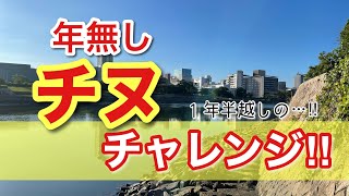 【広島県　旧太田川】目標にしてた年無しチヌ…果たして結果は！！🎣