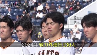 プロ野球戦力外通告 2024年12月25日  野球を諦め切れない男たちとその家族の物語