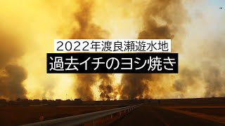 【渡良瀬遊水地】間違いなく過去一番のヨシ焼~2022年3月5日~