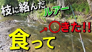 初夏の本流＆水路でスリリングなトラウトフィッシング～北海道～