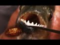 Eaten ALIVE By Catfish | HORROR STORY | River Monsters