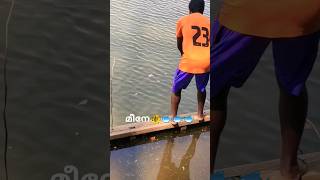 വീണ്ടും ഞങ്ങൾ🐠🐟