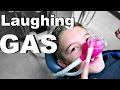 đLaughing! đLaughing!