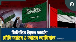 ফিলিস্তিনকে স্বাধীন রাষ্ট্র হিসেবে দেখতে চায় সৌদি আরব ও আরব আমিরাত | The Business Standard