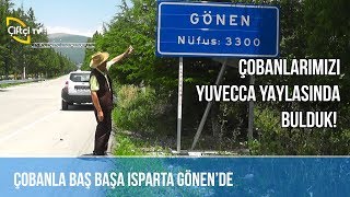 Çobanlarımızı Yuvecca Yaylasında Bulduk! / Isparta -ÇOBANLA BAŞ BAŞA