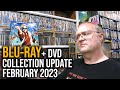 BLU-RAY / DVD Collection Update [1 of 2] - February 2023 (Action / Horror)