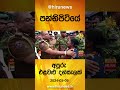 පන්නිපිටියේ අපූරු එළවළු දන්සැලක් hiru news