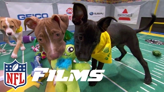 Behind the Scenes of the Puppy Bowl | NFL Films Presents