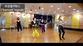 밸리야밸리댄스/ 초급벨리댄스/Elyamont/signals/bellydance/biginner class