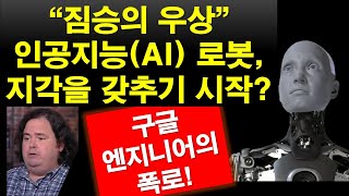 *성경과 정세* 요한 계시록 13장의 짐승의 우상? 구글 엔지니어의 폭로! 가장 인간을 닮은 인공지능(AI) 로봇 등장, 지각을 갖추기 시작(번역: 고병현)